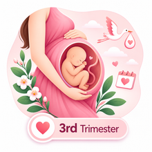 3rd Trimester